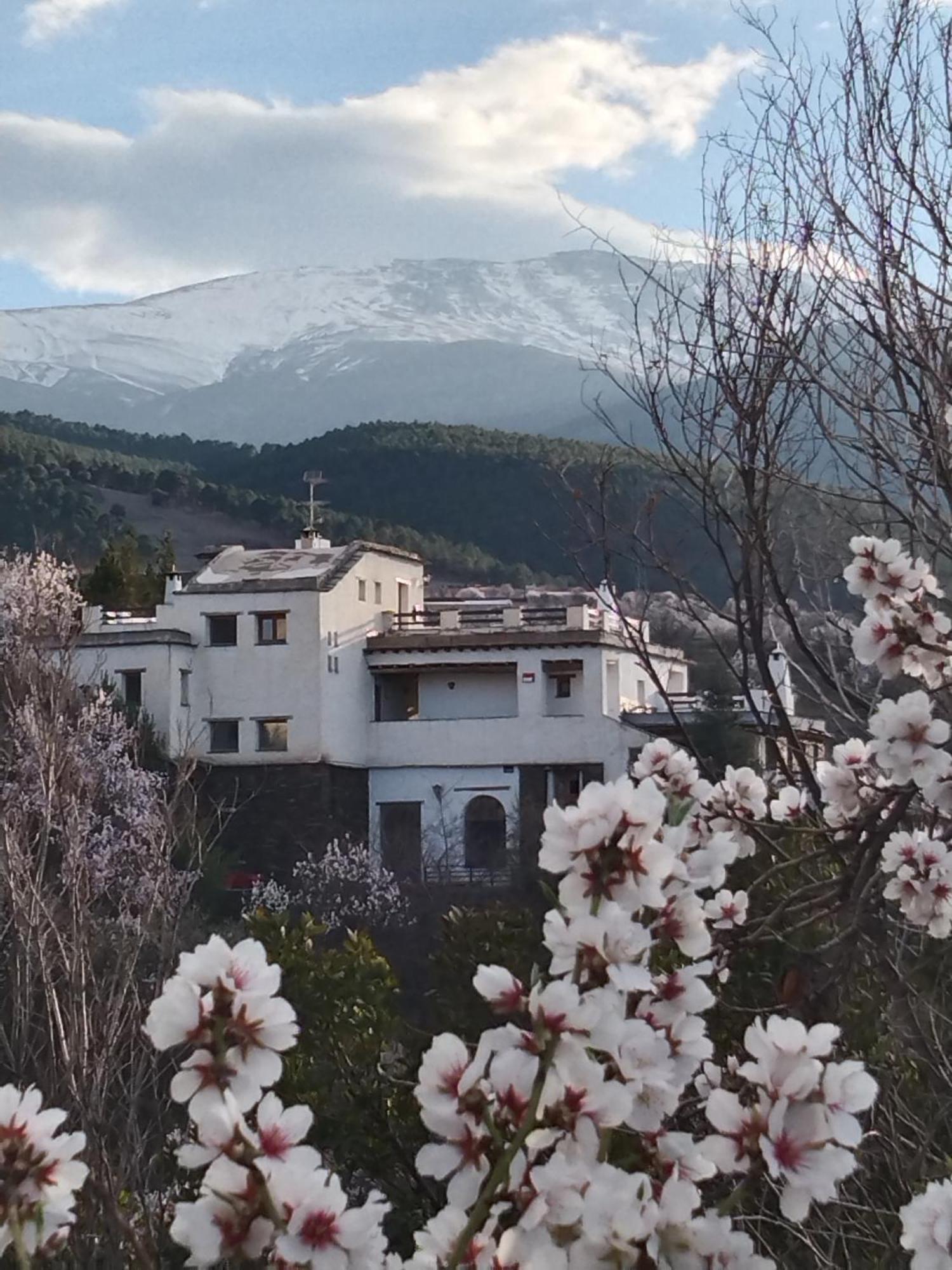 La Posada Del Altozano Lanteira Exteriör bild